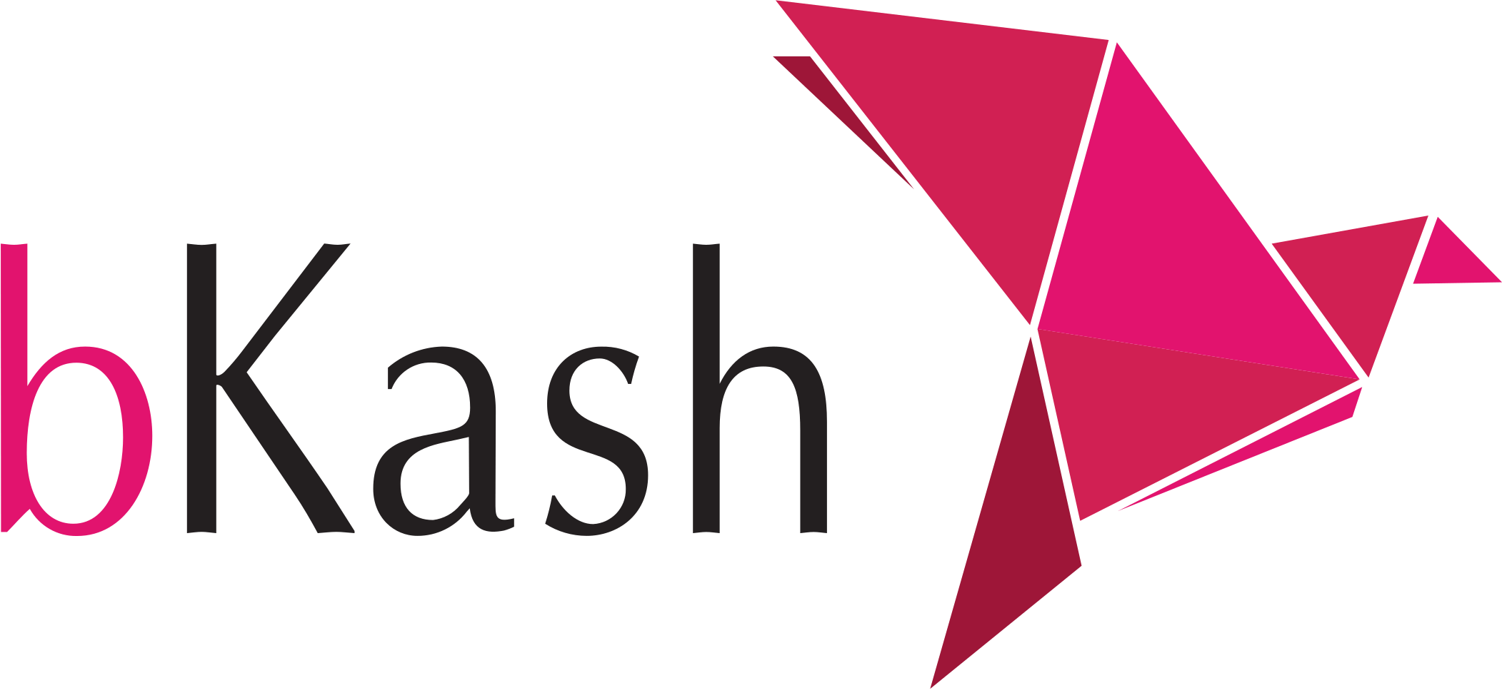 BKash-Logo.wine